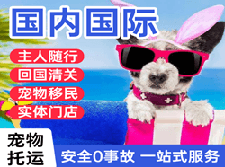 霍林河机场快运国际宠物托运 【国
